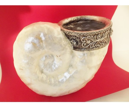 P1035688 Poly. Shell Nautilus parelmoer pot. L x H : 25 x 23 cm.