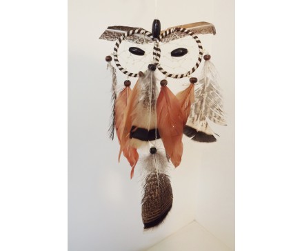 8530093 Dreamcatcher. Dreamcatcher brown owl two eyes. Length : 41 cm width : 12 cm.