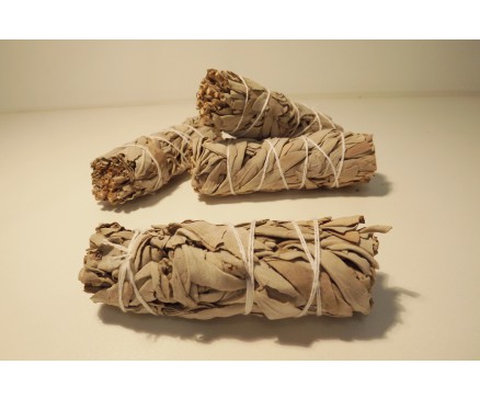 W8355501 Wierook. White Sage Smudge sticks. Geurige smudge stick van 10 cm. Om bijv. in Abalone schelp te branden. Prijs per 3 stuks