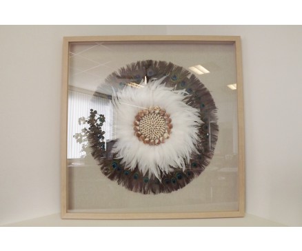 T55029 Wanddecoratie. Pauwenveren en witte veren met middelpunt van schelpen achter glas in houten lijst. 90 x 90 cm.