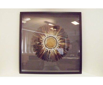 T40823 Wanddecoratie. Bruine veren met rieten middelpunt met schelpen achter glas in zwarte lijst. 90 x 90 cm.